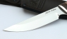 Нож Гриф, немецкая сталь AISI с рисунком, рукоять береста, дюраль